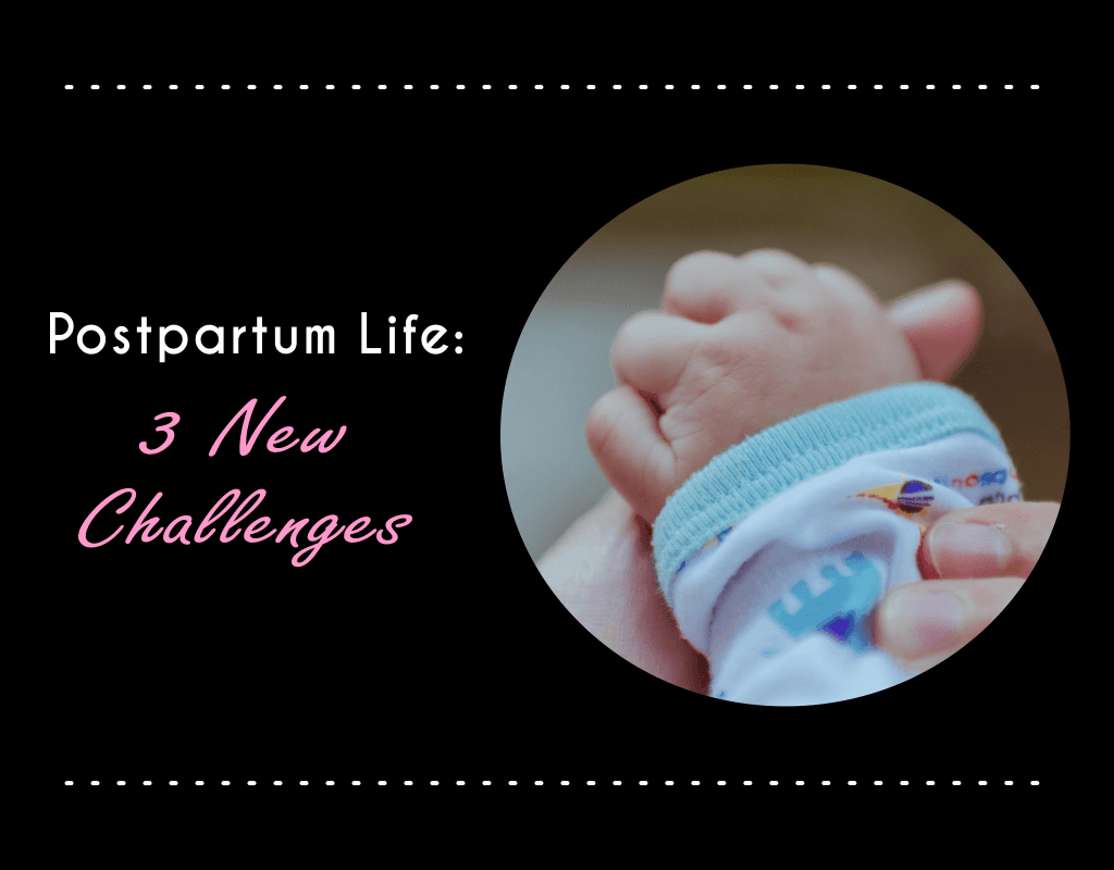 Blog Postpartum Life 3 New Challenges